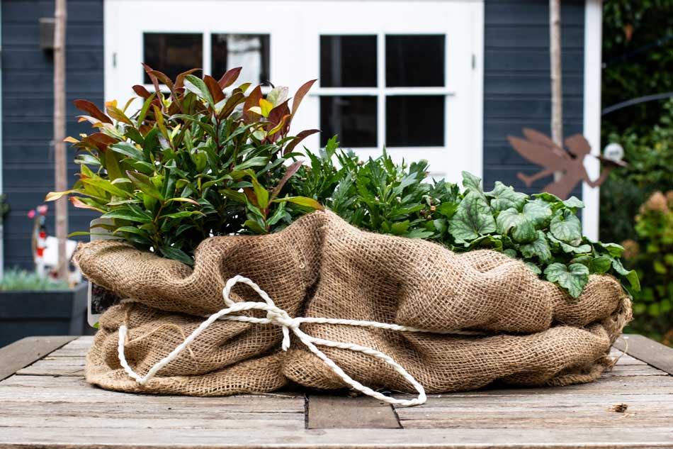 Winterkleid für den Garten