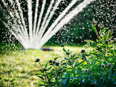 Rasensprinkler