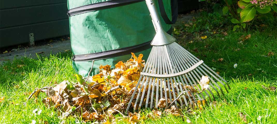 Herbstlaub entsorgen