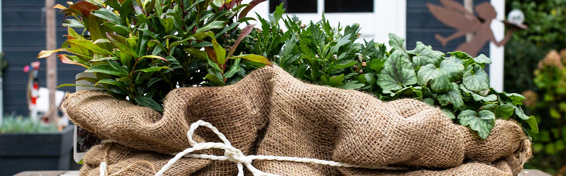 Winterkleid für den Garten