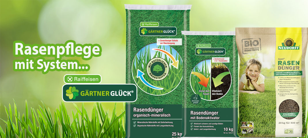 Rasendünger