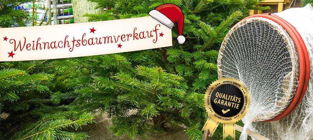 Weihnachtsbaumverkauf