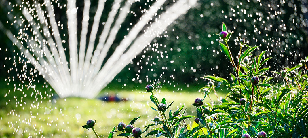 Gartenbewässerung