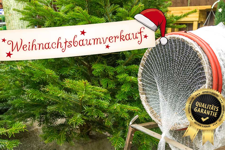 Weihnachtsbaumverkauf