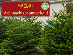 Weihnachtsbaumverkauf
